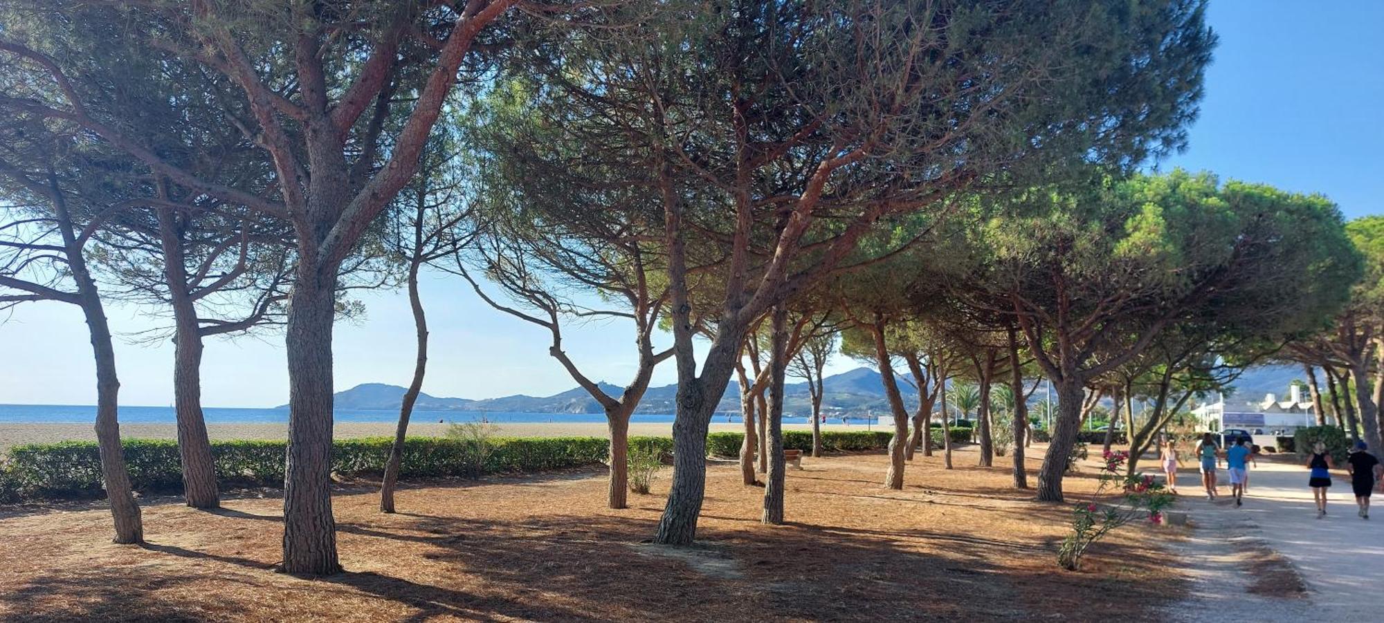 Sur La Plage, Super Studio Avec Vue Sur La Mer Plage d'Argeles Bagian luar foto