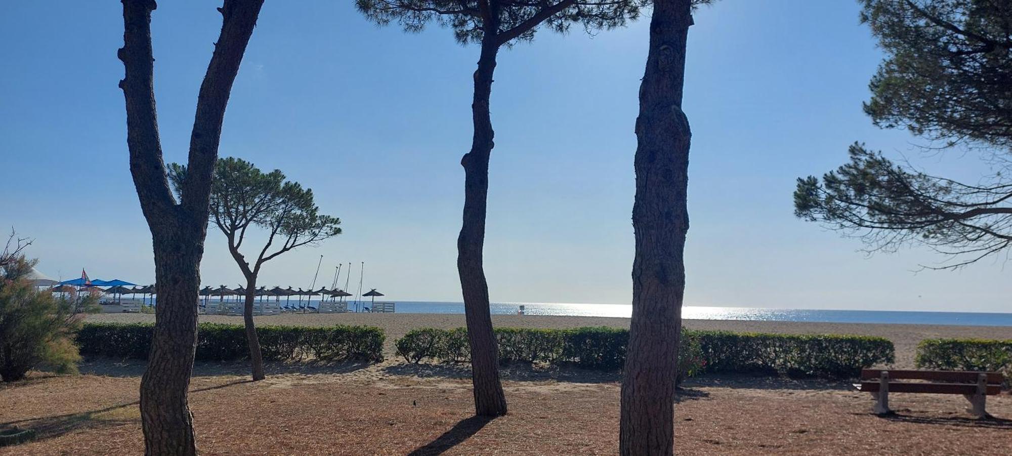 Sur La Plage, Super Studio Avec Vue Sur La Mer Plage d'Argeles Bagian luar foto